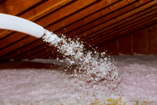 Best Residential Insulation Services  in Nescopeck, PA