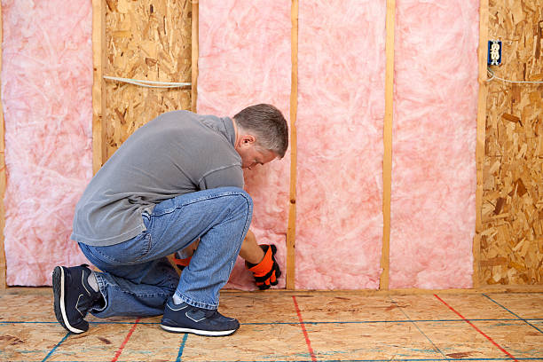 Best Insulation Contractor Near Me  in Nescopeck, PA