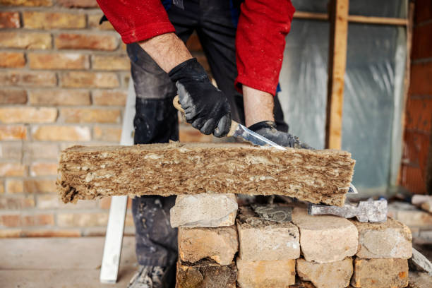 Best Professional Insulation Contractor  in Nescopeck, PA