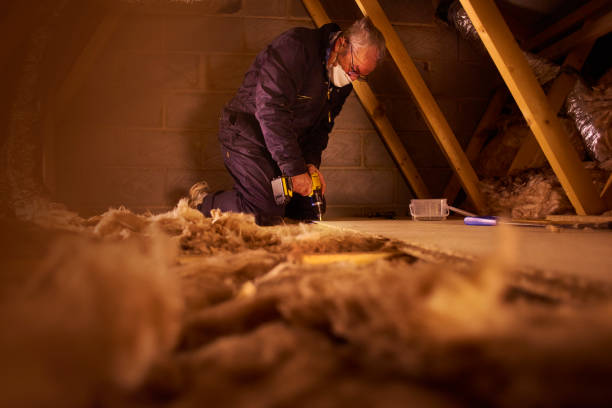 Best Affordable Insulation Services  in Nescopeck, PA